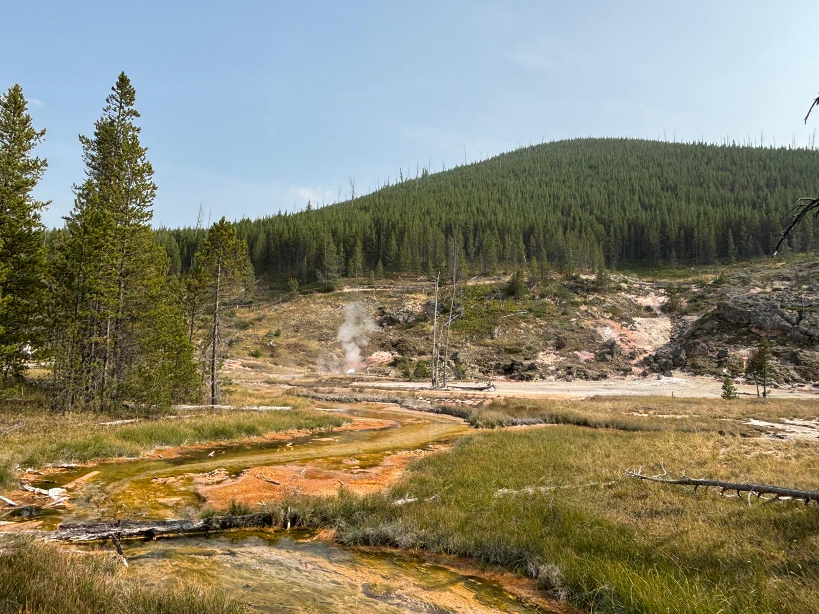 Yellowstone 6.jpeg